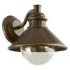 EGLO Wandlamp Voor Buiten Albacete -Verlichtingswinkel 12 55